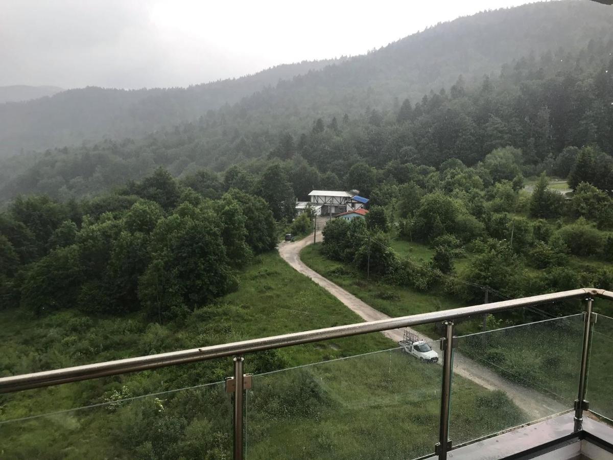 Mountain Residence Sinaia Esterno foto
