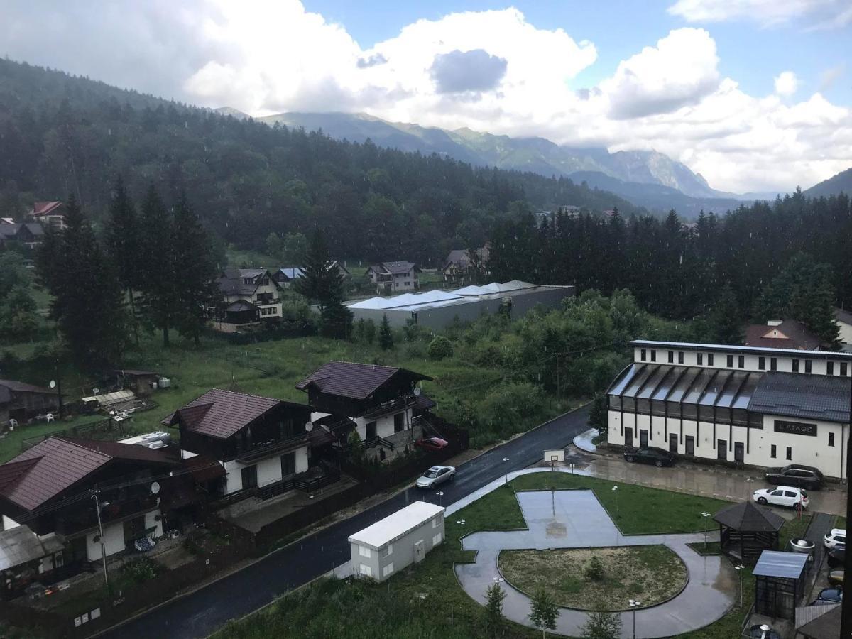 Mountain Residence Sinaia Esterno foto