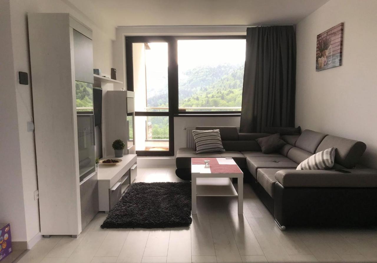 Mountain Residence Sinaia Esterno foto