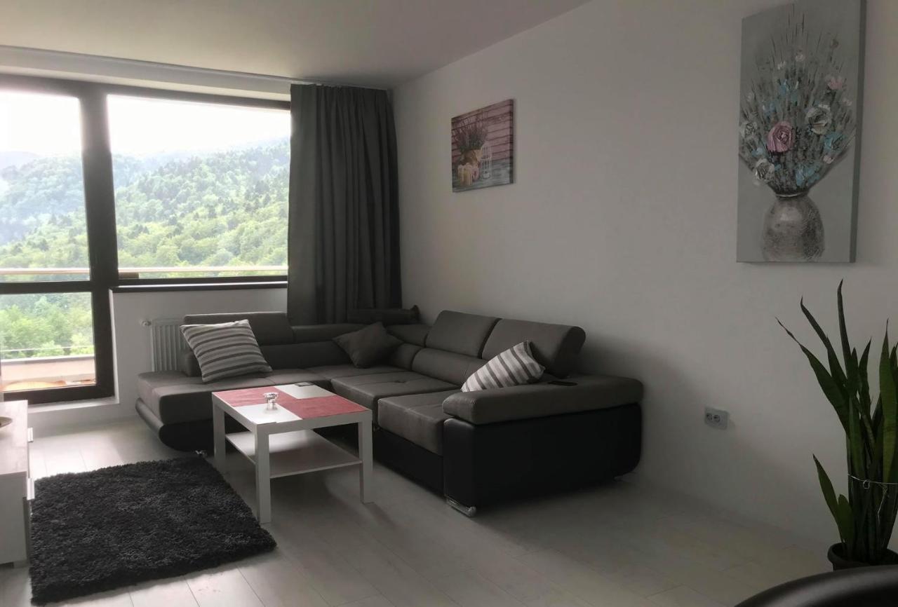Mountain Residence Sinaia Esterno foto